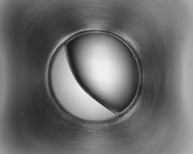 X0000094941077200711291016