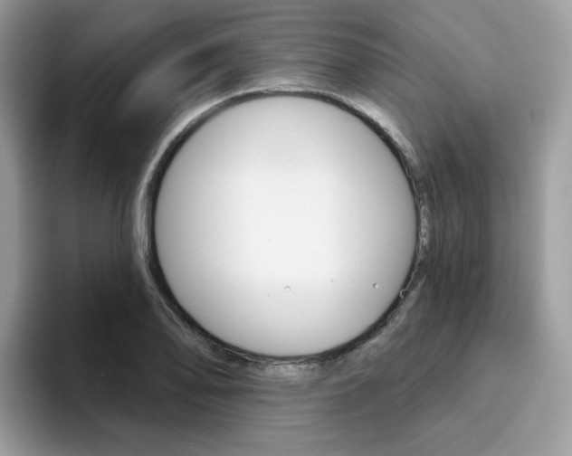 X0000094941078200711291016
