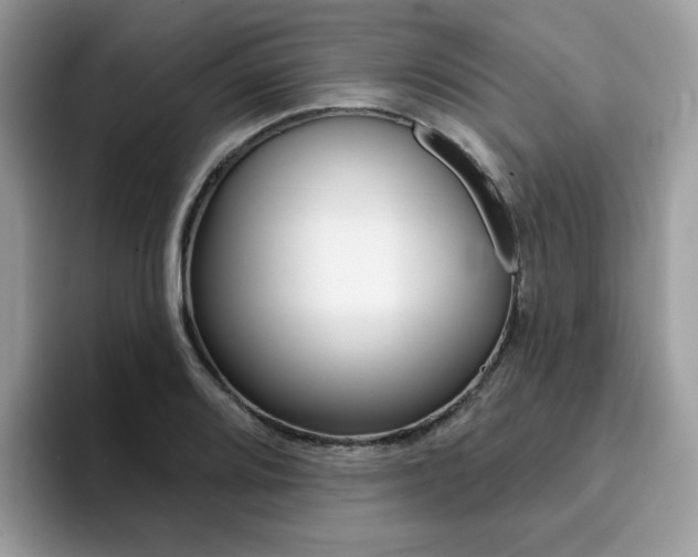 X0000094941080200711291016