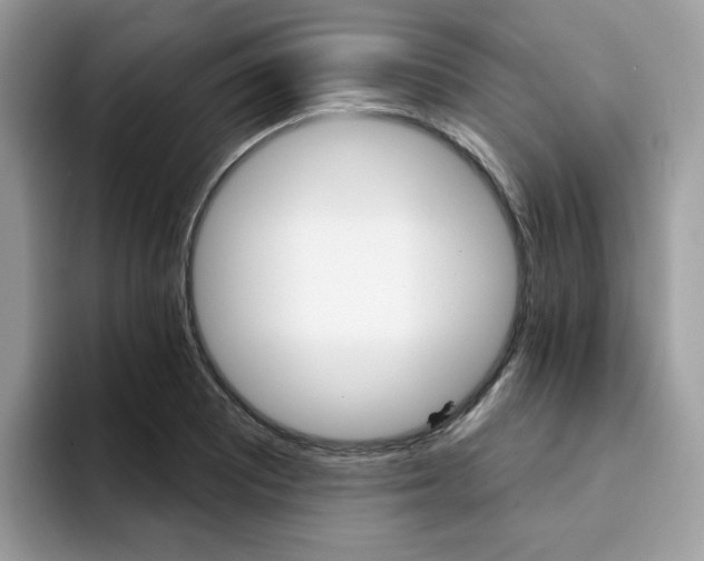 X0000094941081200711291016