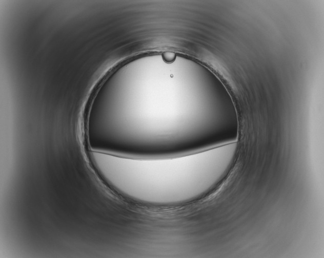 X0000094941082200711291016