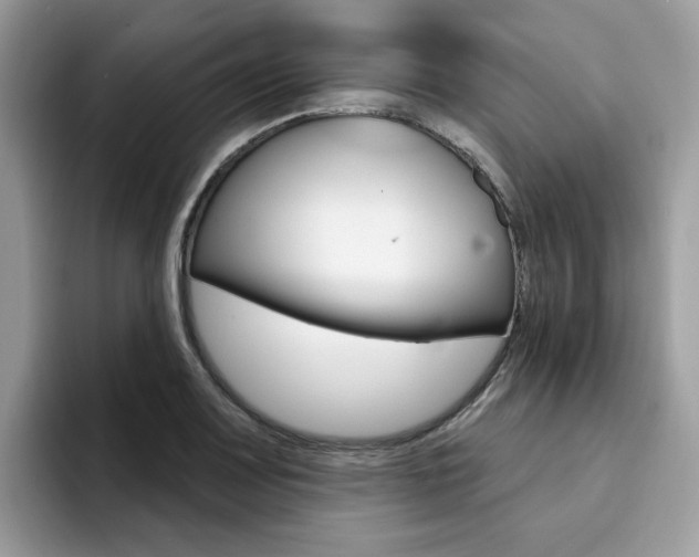 X0000094941083200711291016
