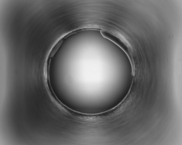 X0000094941084200711291016