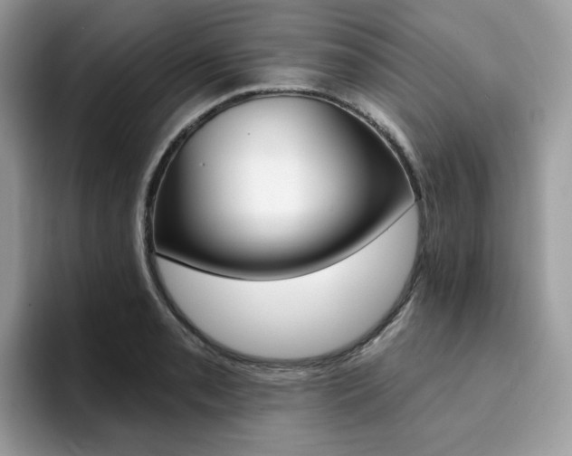 X0000094941085200711291016