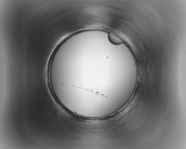 X0000094941087200711291016
