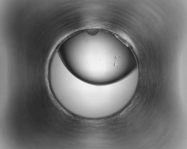 X0000094941088200711291016