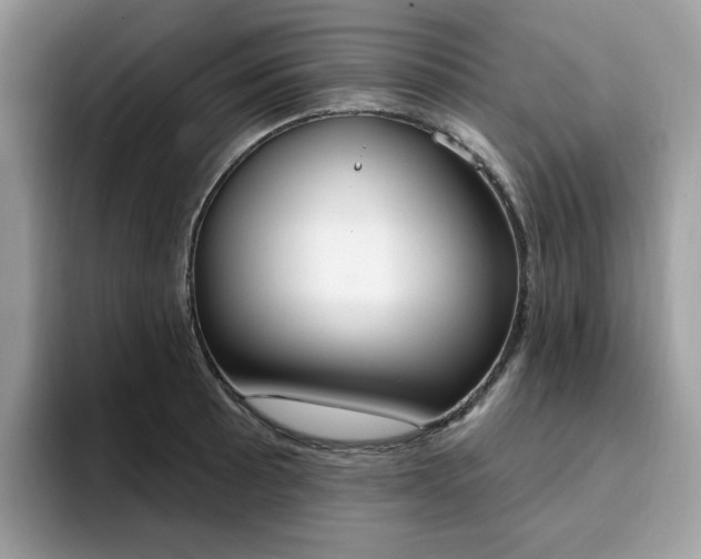 X0000094941089200711291016