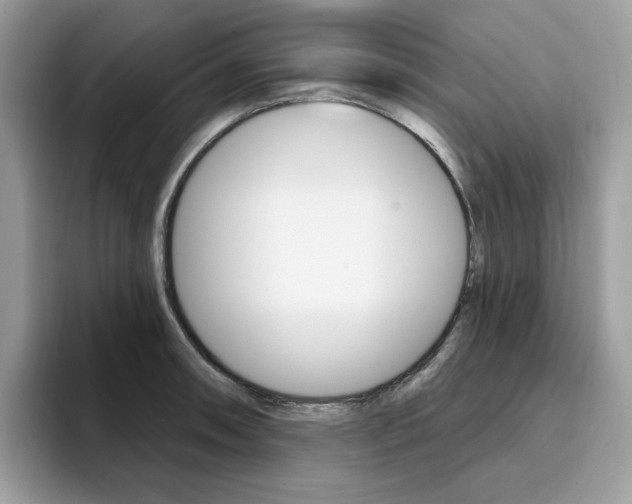 X0000094941090200711291016