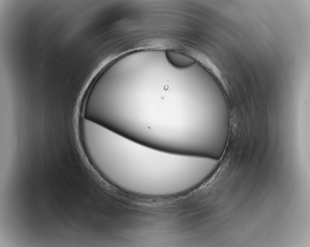X0000094941091200711291016