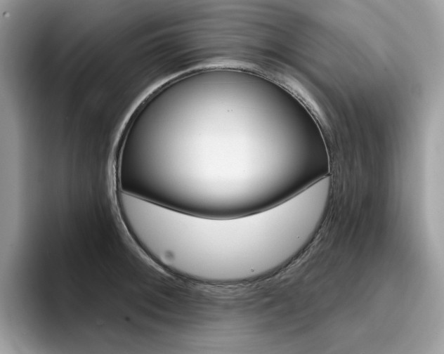 X0000094941092200711291016