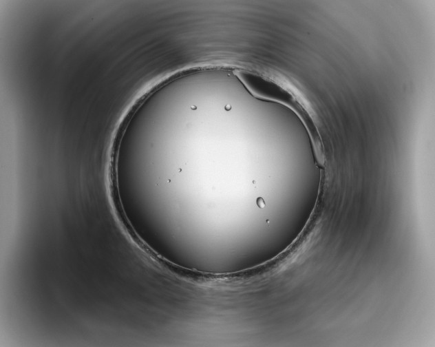 X0000094941093200711291016