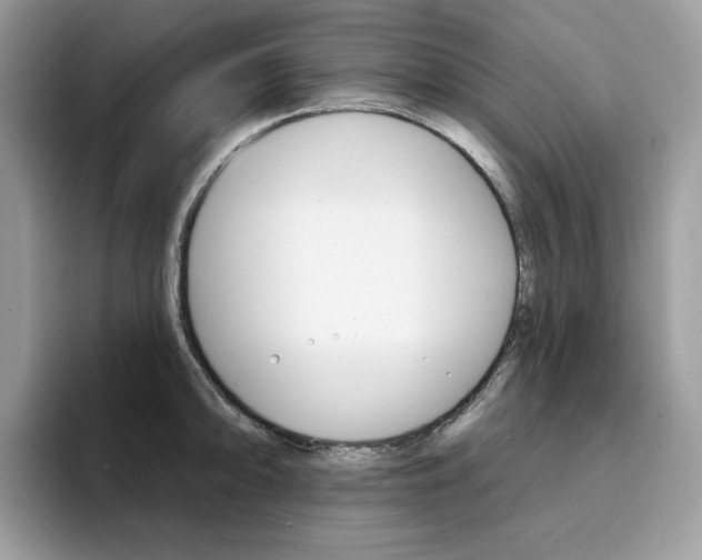 X0000094941094200711291016