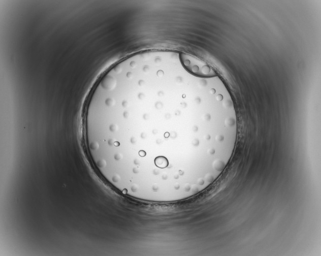 X0000094941095200711291016
