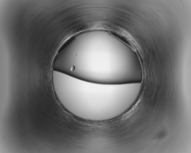 X0000094941097200711291016