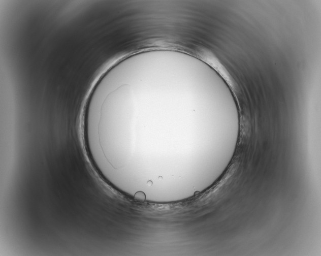 X0000094941098200711291016