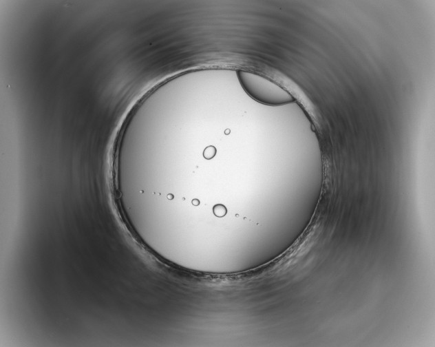 X0000094941099200711291016