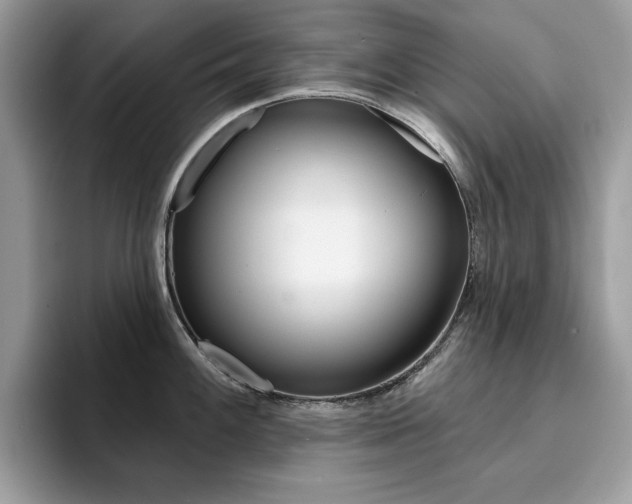 X0000094941100200711291016