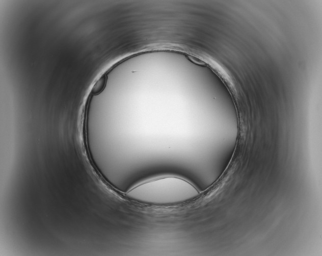X0000094941102200711291016