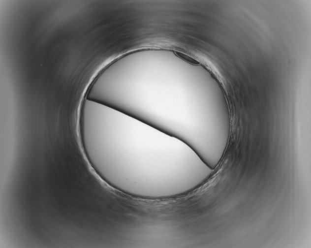 X0000094941103200711291016