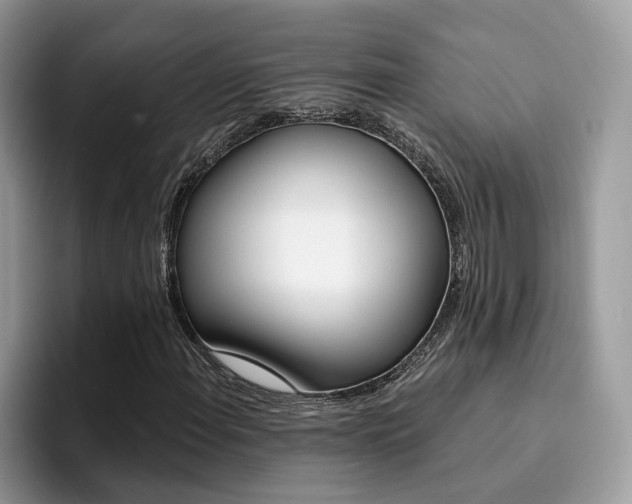 X0000094941108200711291015