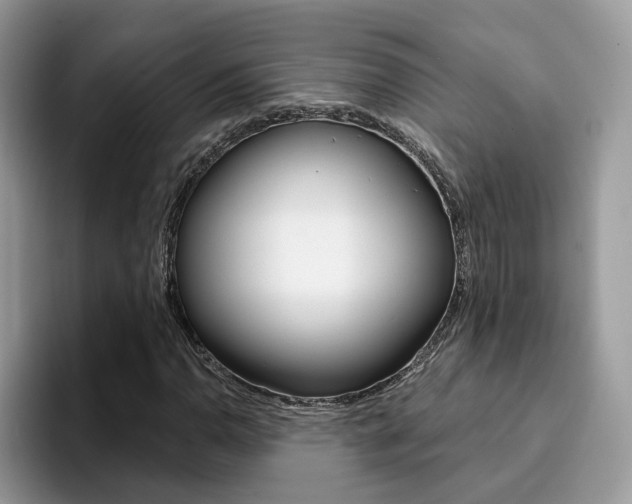 X0000094941110200711291015