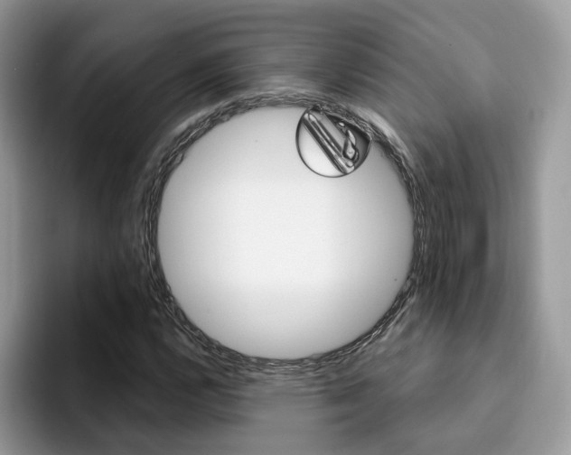 X0000094941112200711291015
