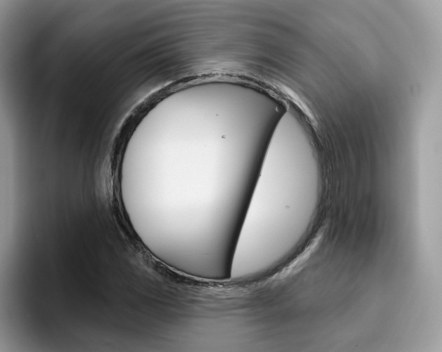 X0000094941117200711291015
