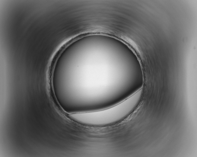 X0000094941120200711291015