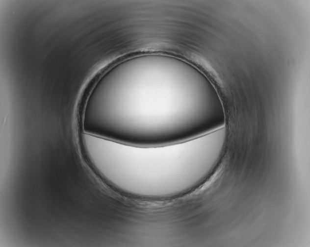 X0000094941122200711291016