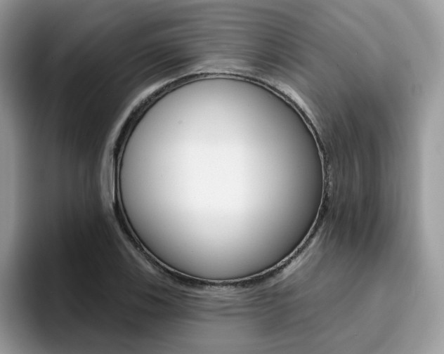 X0000094941123200711291016