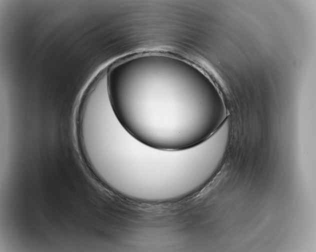 X0000094941124200711291016