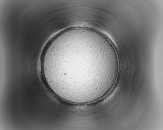 X0000094941125200711291016