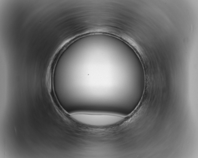 X0000094941127200711291016