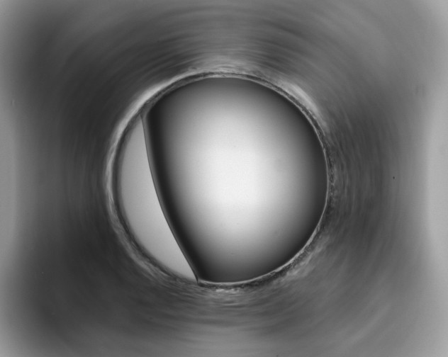 X0000094941128200711291016