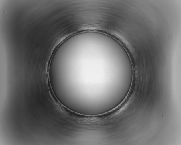 X0000094941129200711291016