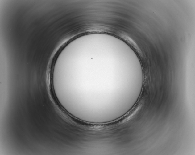 X0000094941130200711291016