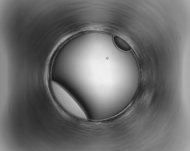 X0000094941131200711291016