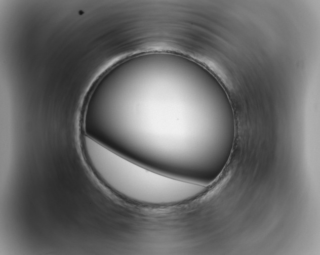 X0000094941134200711291016