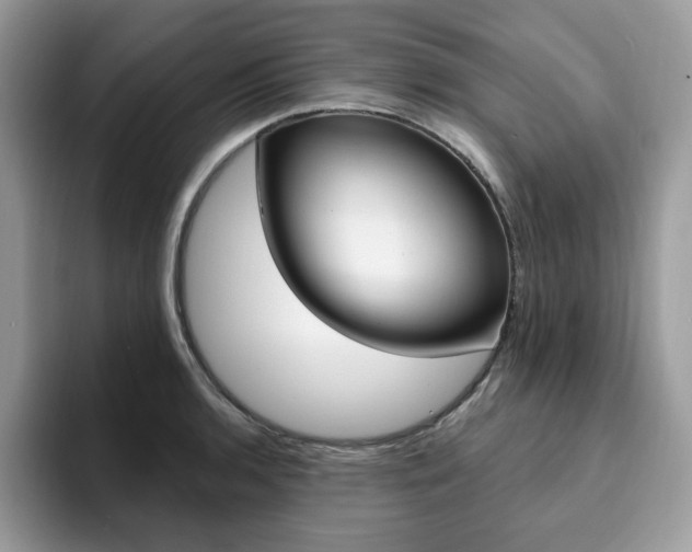 X0000094941136200711291016