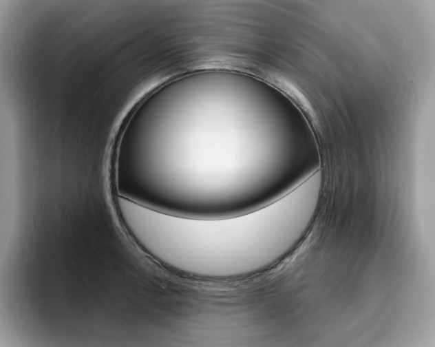 X0000094941138200711291016