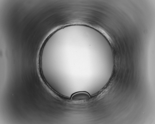 X0000094941142200711291016