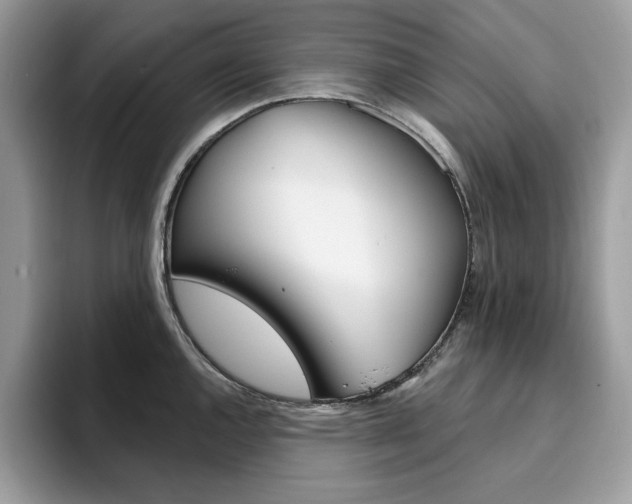 X0000094941144200711291016