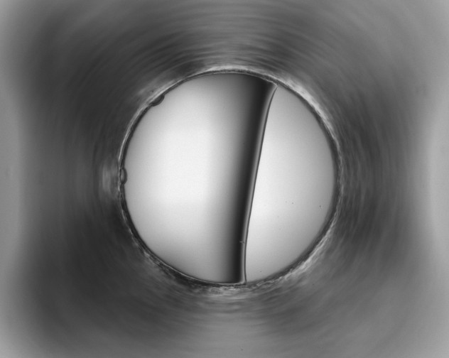 X0000094941145200711291016