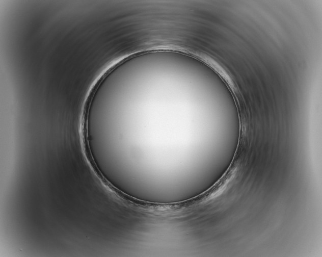 X0000094941149200711291016