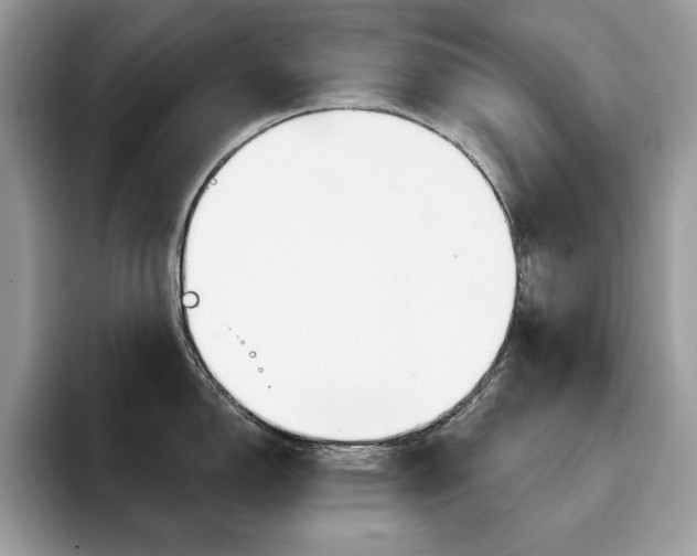 X0000094941150200711291016