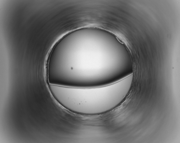 X0000094941151200711291016
