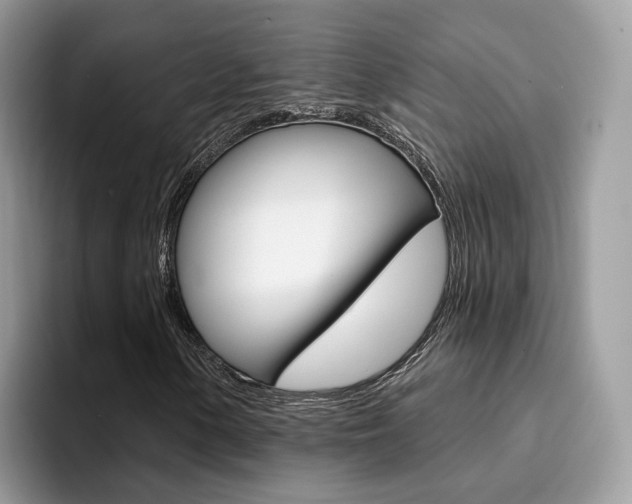 X0000094941154200711291015