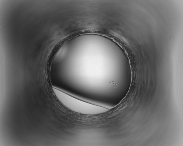 X0000094941160200711291015