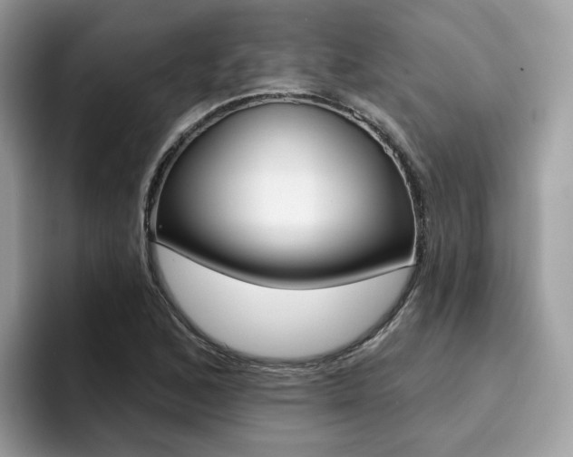 X0000094941168200711291015