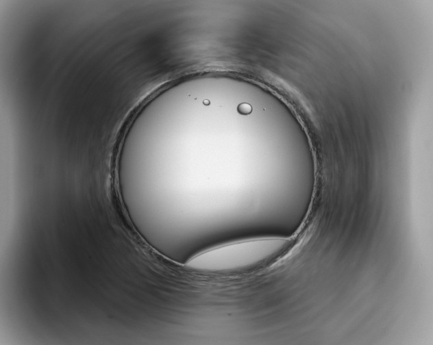 X0000094941170200711291015
